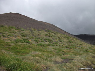 Monte Nero delle Concazze